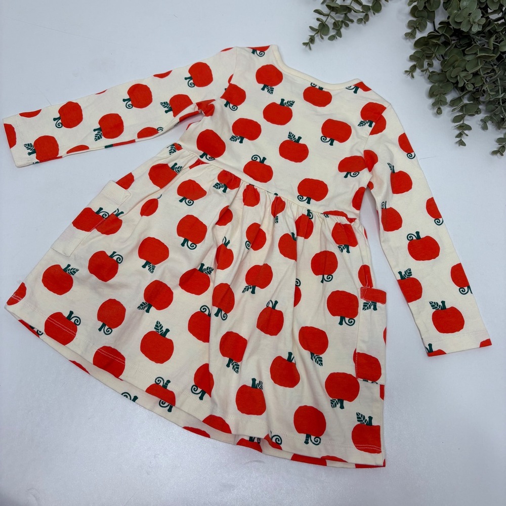 Hanna Andersson Kids pumpkin  Print Long Sleeve Dress Size 3T Cream - Picture 4 of 4